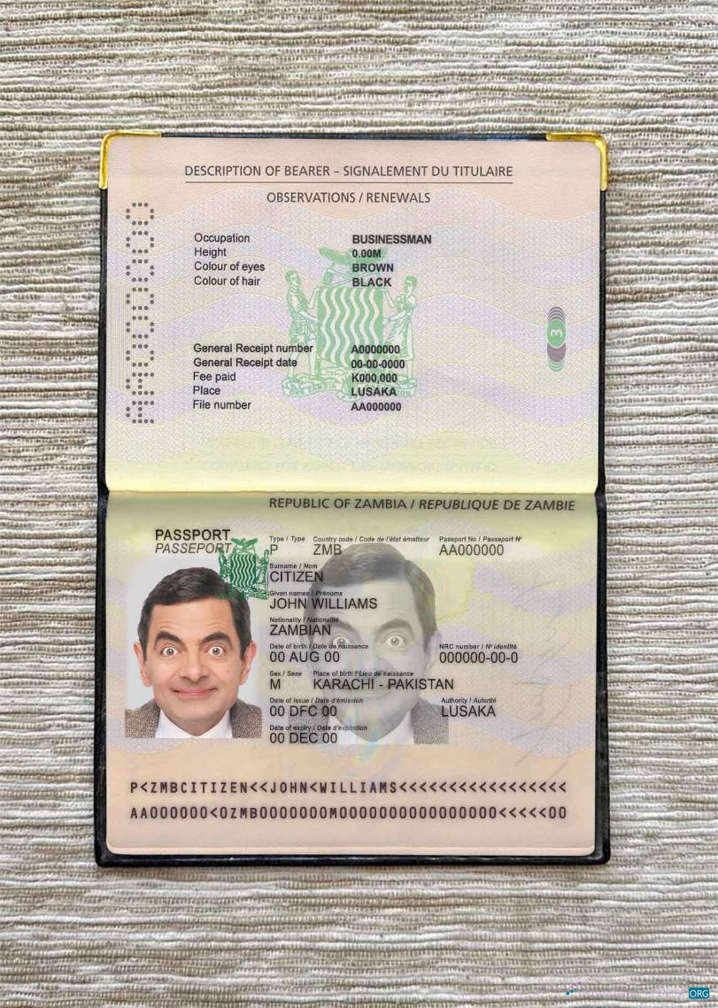 Download Zambia pass photo look Photoshop template